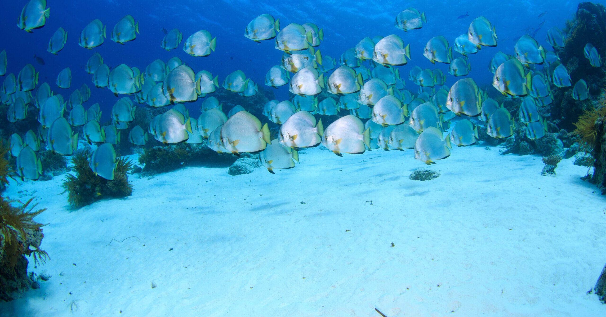 Seguro de Viaje Combinado Suny Travel